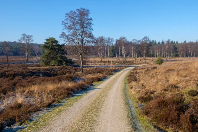 mooi pad door de heide
