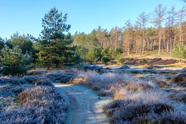 rijm op de heide