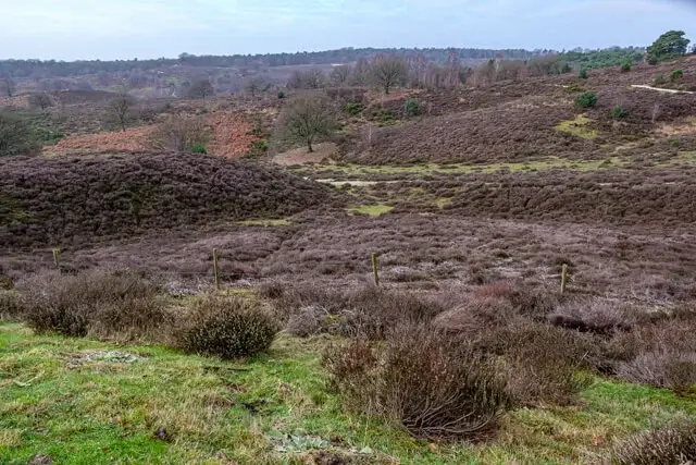 Rheder- and Worth-Rhederheide