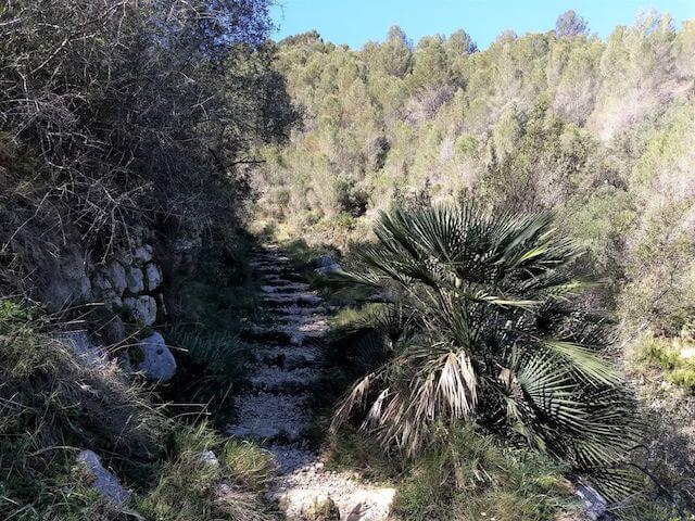 Moorish steps