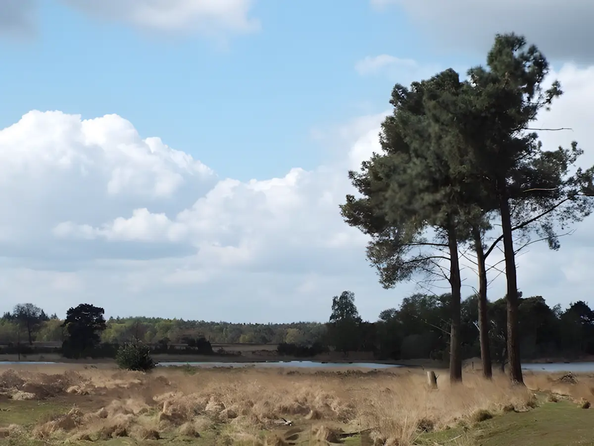 uitzicht op de stabrechtse heide