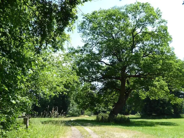 coulissenlandschap