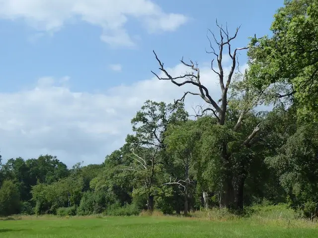 coulissenlandschap
