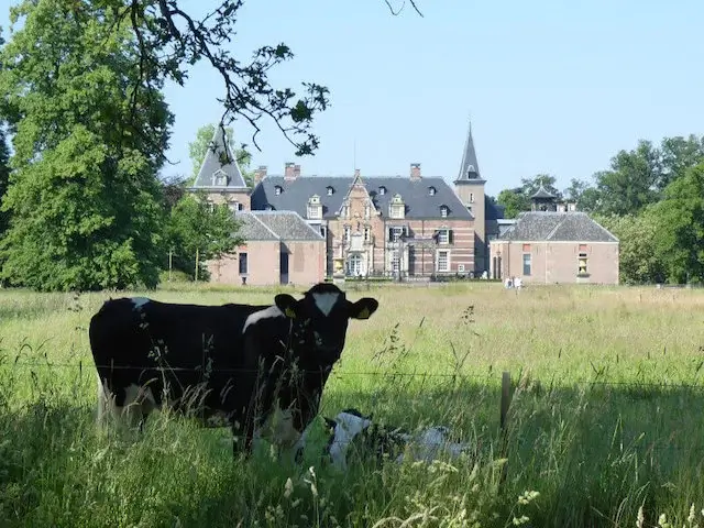 kasteel twickel in de verte