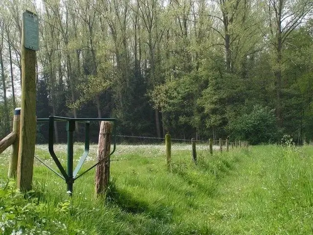 de mortelen