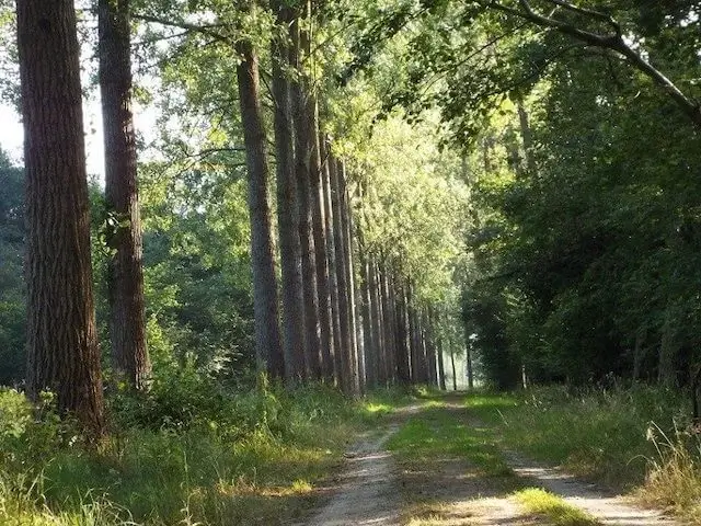 natuurgebied scheeken-mortelen