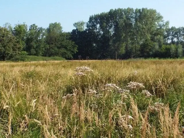 natuurgebied scheeken-mortelen