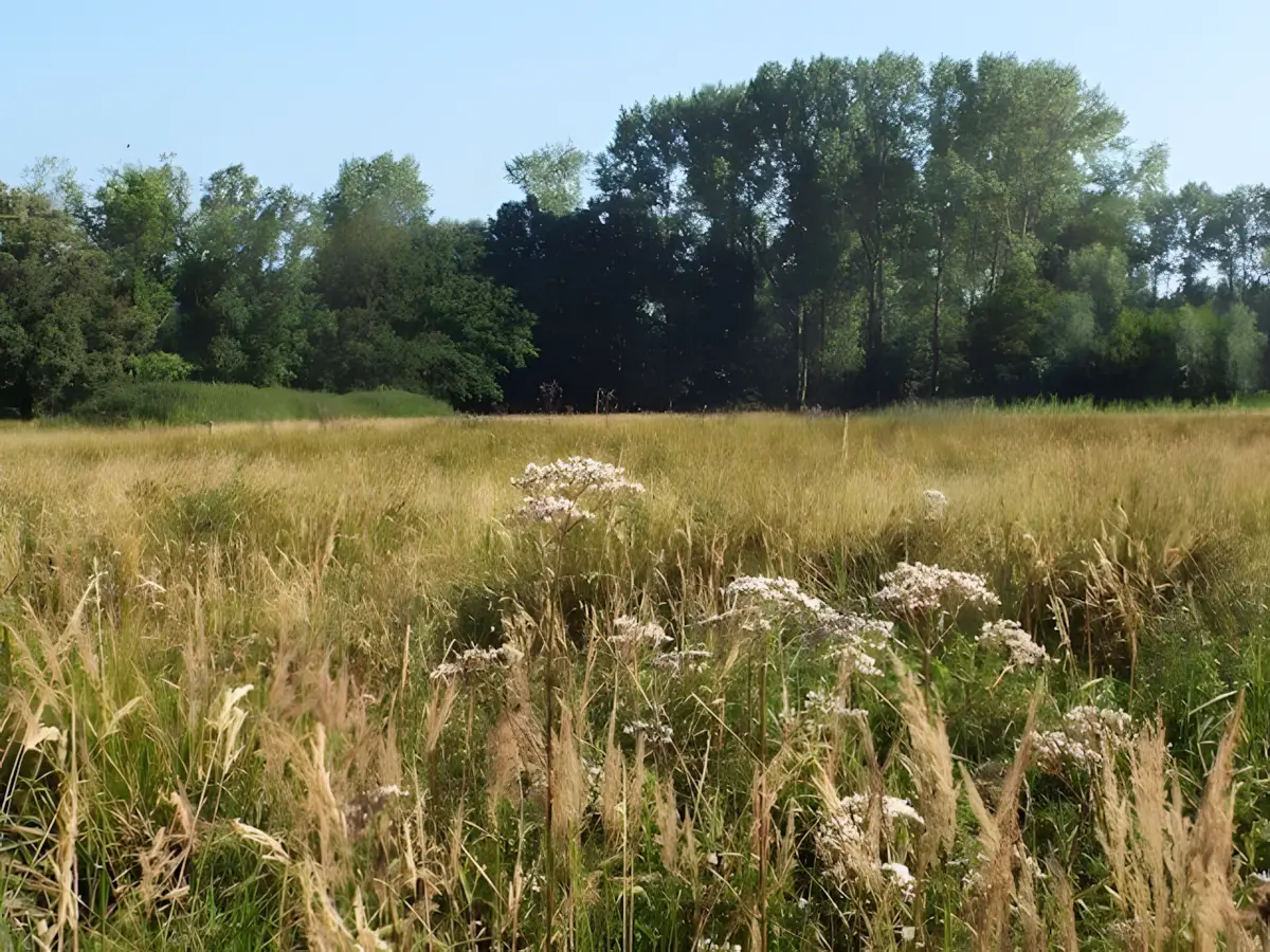 natuurgebied scheeken-mortelen
