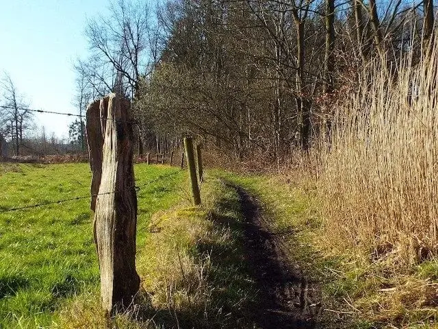 natuurgebied de mortelen