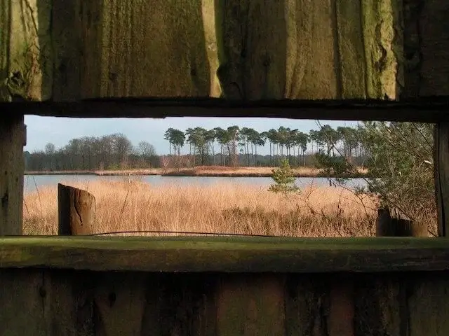 vogelkijkscherm is verwijderd