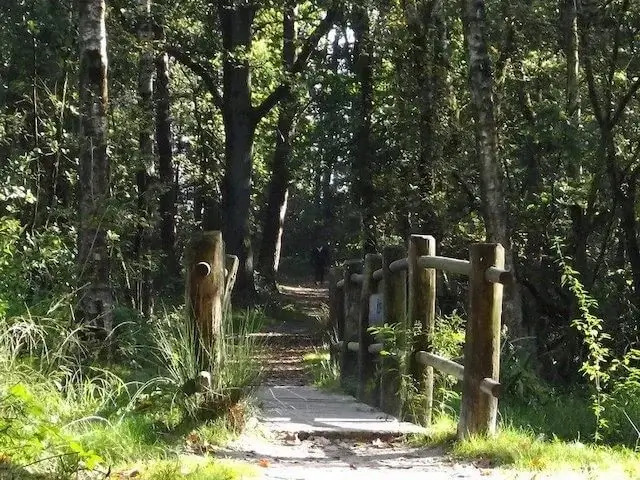 brugje over de rozep