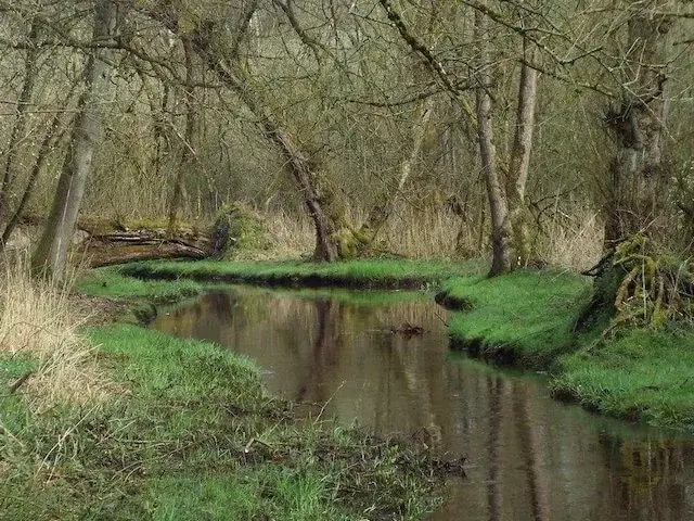 de rozep