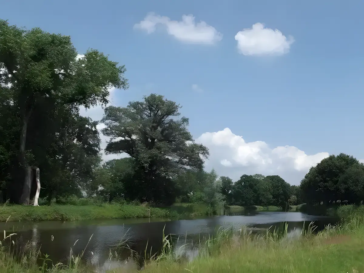 de dommel