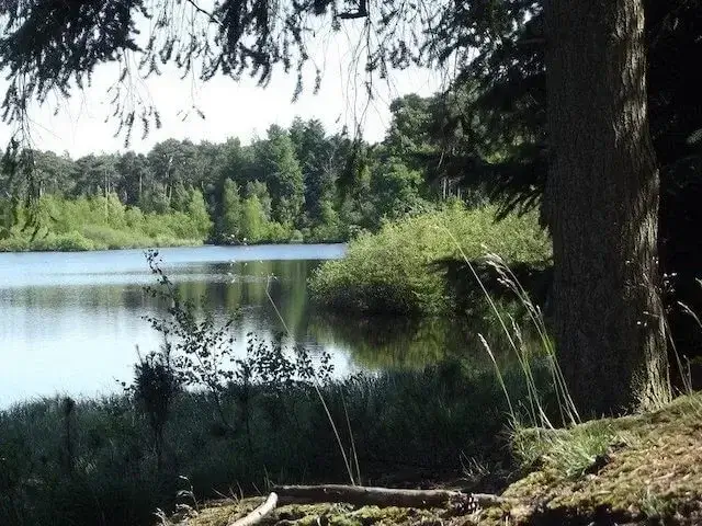 ven in landgoed de venrode