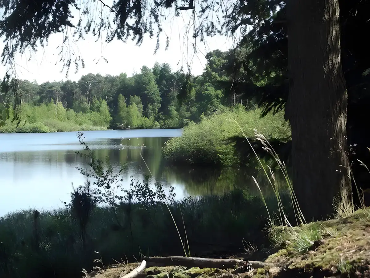 ven in landgoed de venrode