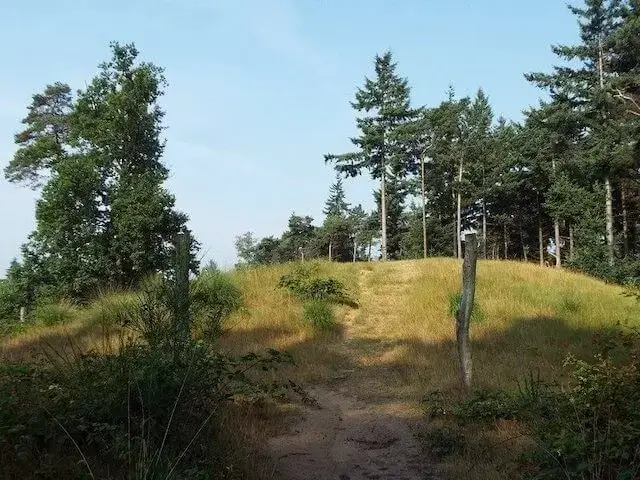 recent ontdekte grafheuvel in landgoed de venrode