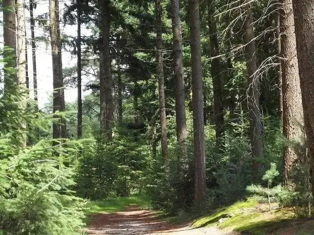 landgoed de venrode
