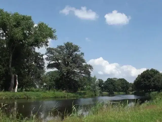 de dommel
