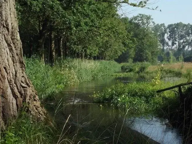 landgoed zegenwerp