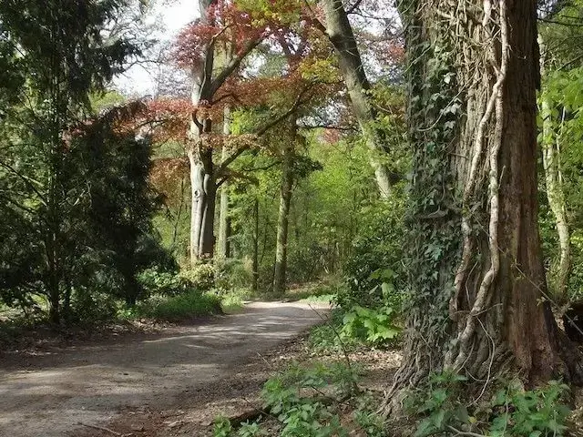 landgoed zegenwerp