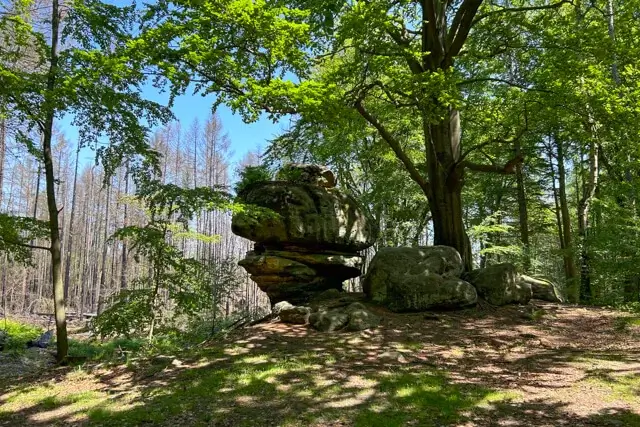 katzenstein