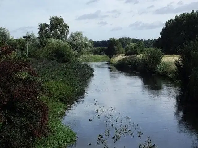 de dommel