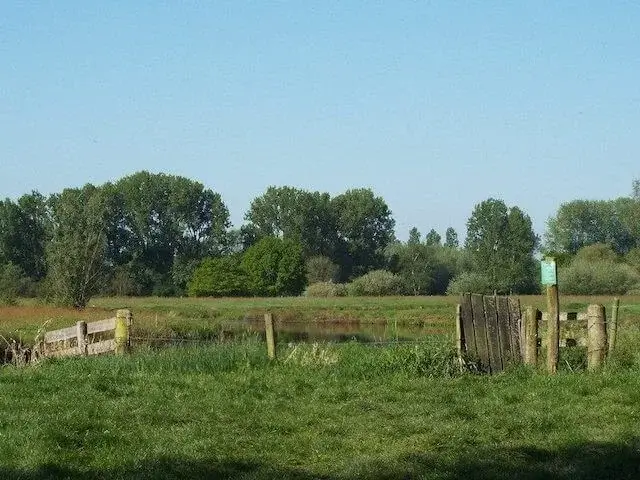 het dommeldal