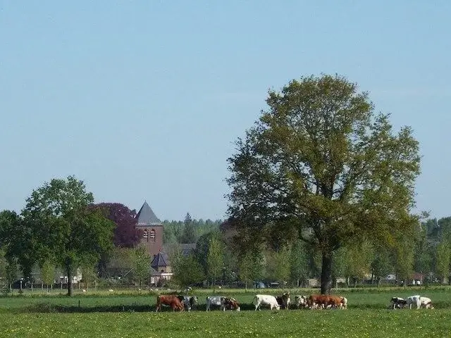 in de verte de kerktoren van olland