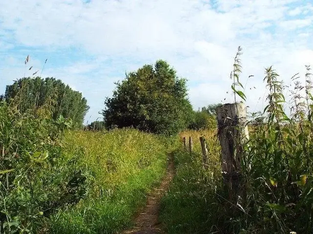 dommeldal bij buurtschap oud rijsingen