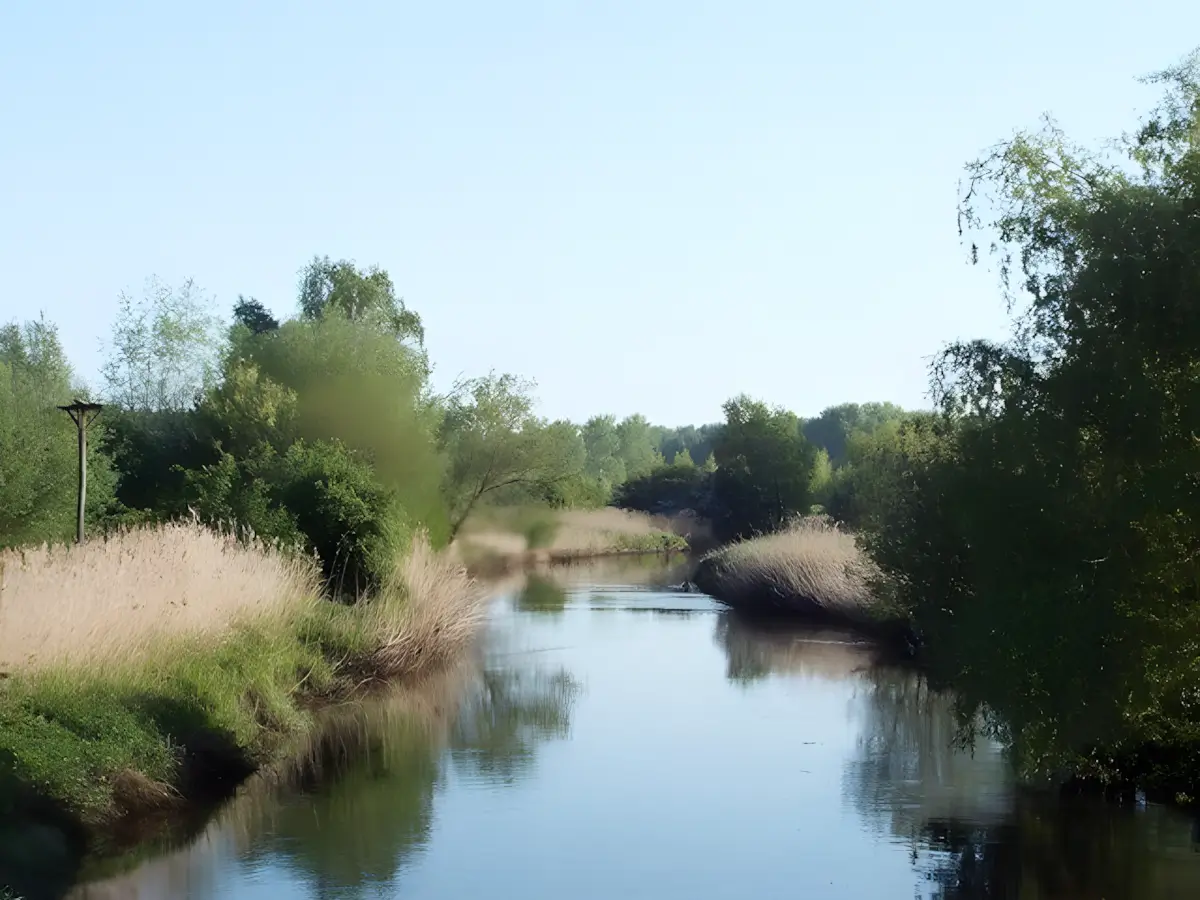 de dommel
