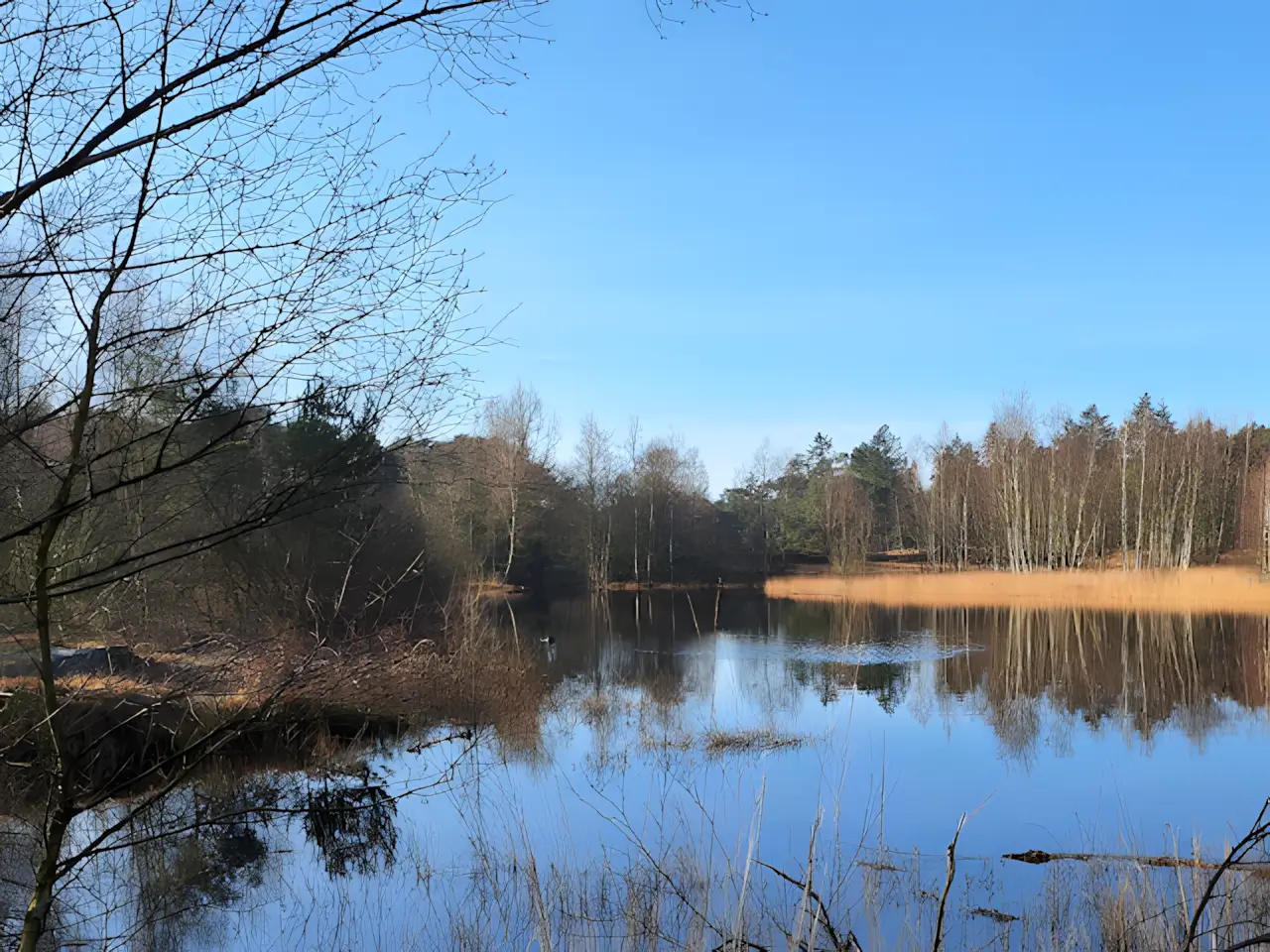 ven in de weerterbergen