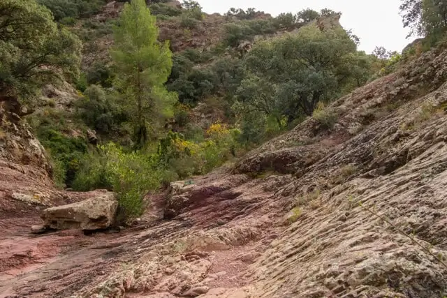 agua negra ravijn