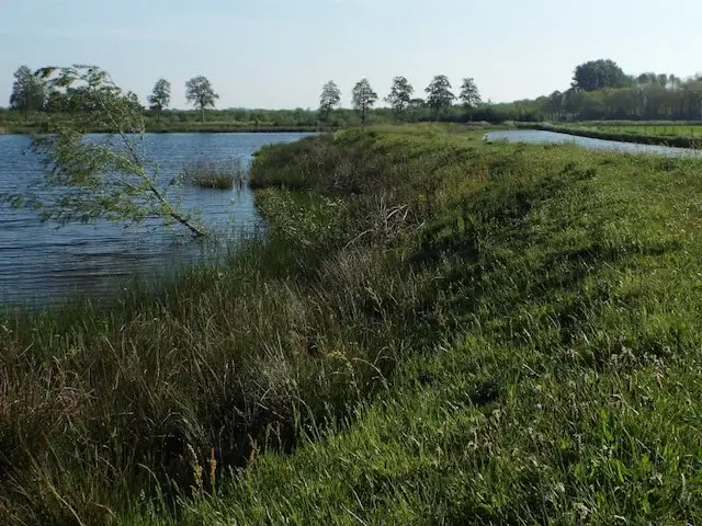 de groene dijk