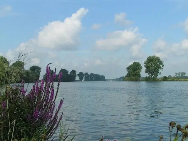 uitzicht op de maas