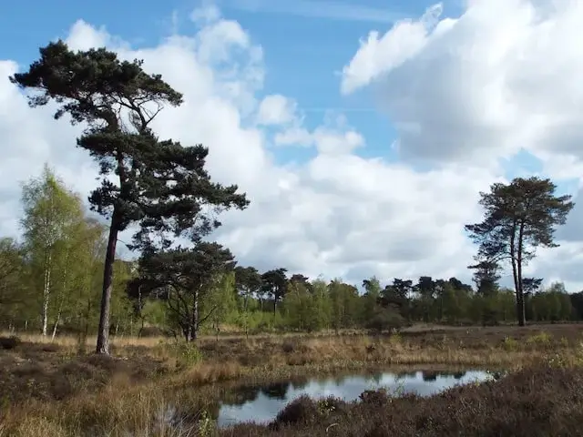 Beegderheide