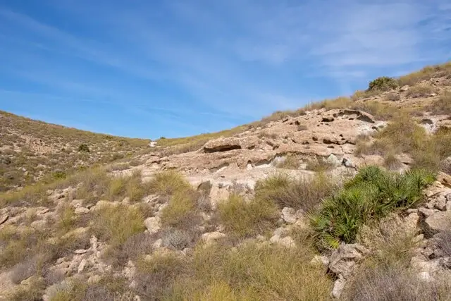 typische vegetatie van cabo de gata