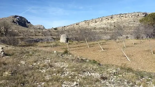 zicht vanop de wandelweg