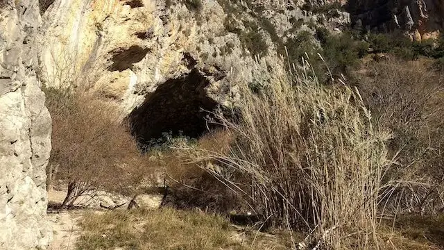 Cova del Barranc