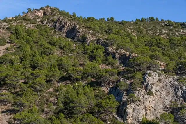 zicht op de beboste heuvels van de sierra d'irta