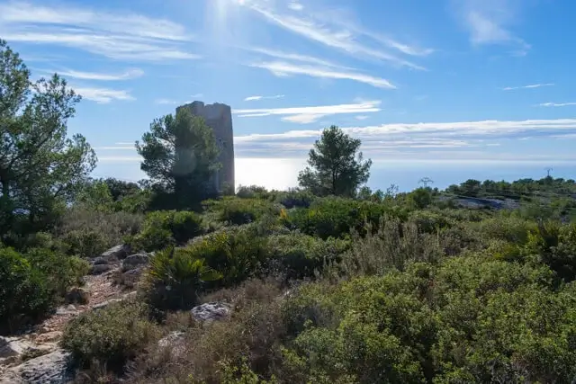 de torre ebri in de verte