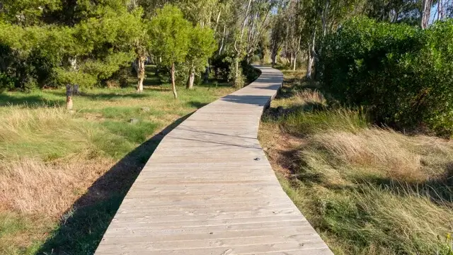 plankenpad naast de kust