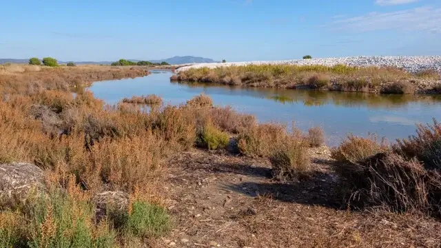 rivier in het natuurgebied prat de cabanes