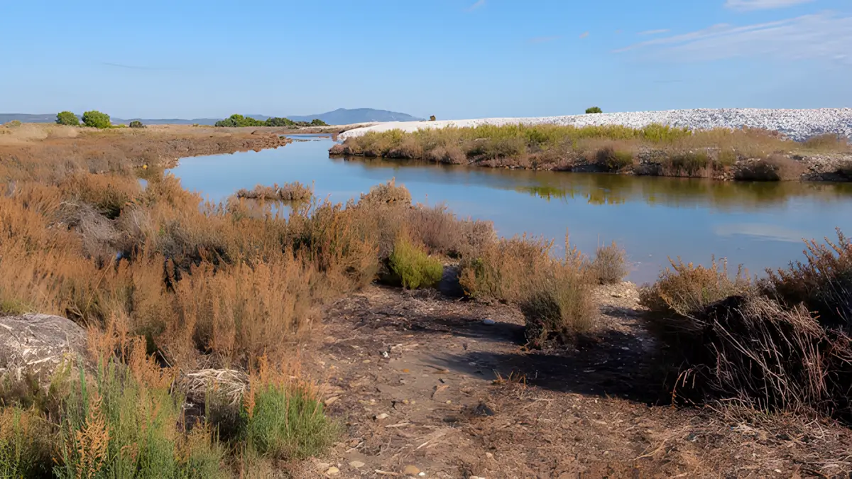 rivier in het natuurgebied Prat de Cabanes