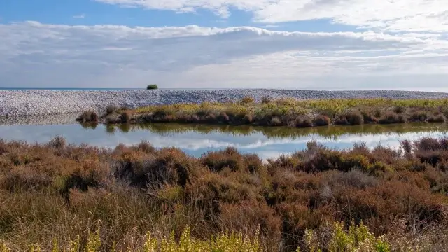 een van de lagunes