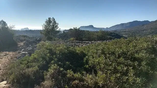 mooi zicht
