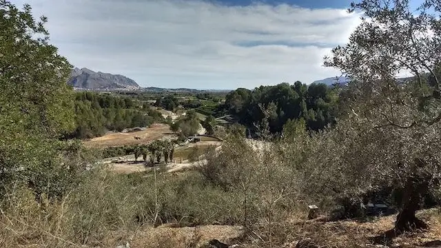 mooie doorkijk op het landschap