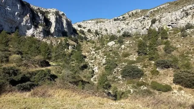 zicht vanuit de vallei