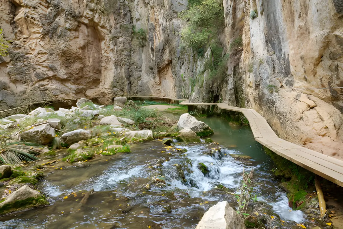 Pasareles de Valloré