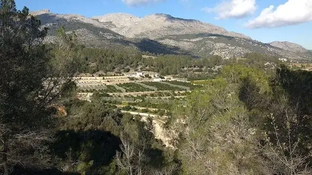 zicht op de bergen