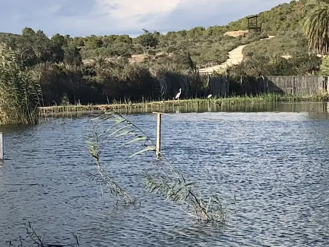 clot de galvany vanuit de kijkhut